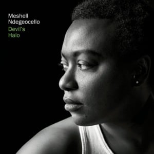 Tie One On - Meshell Ndegéocello