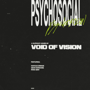 Psychosocial - Void of Vision (Ft. Marcus Bridge, Ryan Siew & Sean Harmanis)