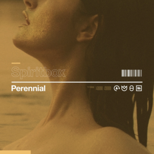 Perennial - Spiritbox