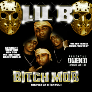 Please Respect the Bitch - Lil B