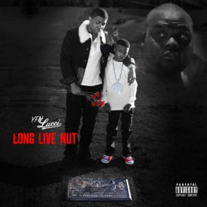 Heartless - YFN Lucci (Ft. Bigga Rankin & Rick Ross)