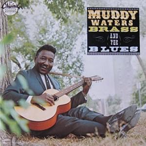 Trouble - Muddy Waters