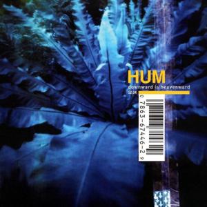 Afternoon with the Axolotls - Hum