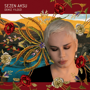 Roman - Sezen Aksu