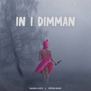 IN I DIMMAN - Rasmus Gozzi