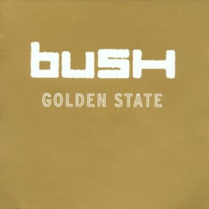 Reasons - Bush