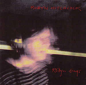 Not Dark Yet - Robyn Hitchcock