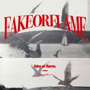 Fake Or Flame - Kohjiya