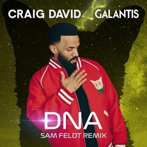 DNA (Sam Feldt Remix) - Craig David & Galantis