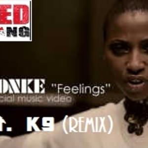 Feelings (Remix) - Zonke (Ft. K-9 (Compton))