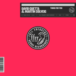 Thing For You (Club Mix) - David Guetta & Martin Solveig