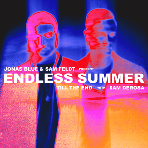 Till The End - Endless Summer & Sam DeRosa