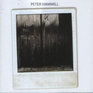 Torpor - Peter Hammill