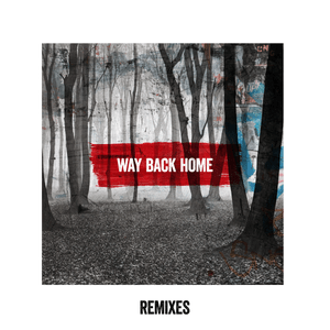 Way Back Home (WE ARE FURY Remix) - Mako