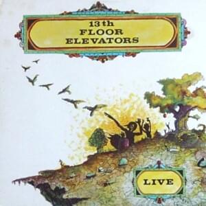 You Gotta Take That Girl - The 13th Floor Elevators