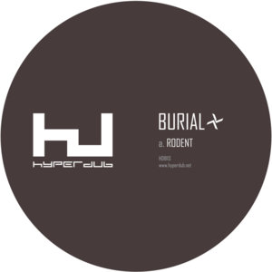 Rodent - Burial