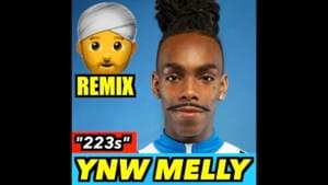 YNW Melly - 223s (Indian Version) - DripReport