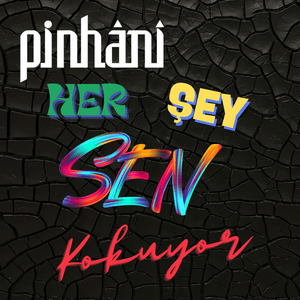 Her Şey Sen Kokuyor - Pinhani