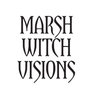 Marsh Witch Vision - The Mountain Goats