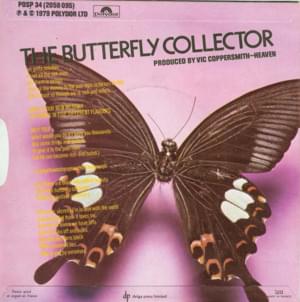 The Butterfly Collector - ​The Jam