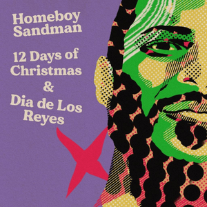 Seventh Day of Christmas - Homeboy Sandman