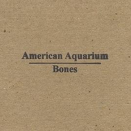 Lonely Ain’t Easy - American Aquarium