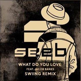 What Do You Love (SWIING Remix) - Seeb (Ft. Jacob Banks)