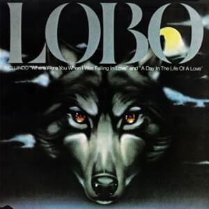 Where Were You When I Was Falling in Love - Lobo