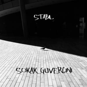 Sokak Güvercini - Stabil