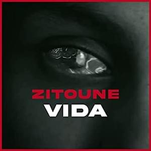 Vida - Zitoune