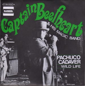 Wild Life - Captain Beefheart & His Magic Band