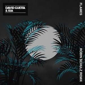 Flames (Robin Schulz Remix) - David Guetta & Sia