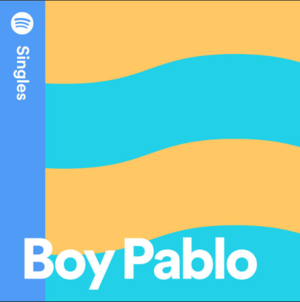 50 Souls and a Discobowl - ​boy pablo