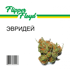 ЭВРИДЕЙ (EVERYDAY) - Flipper Floyd