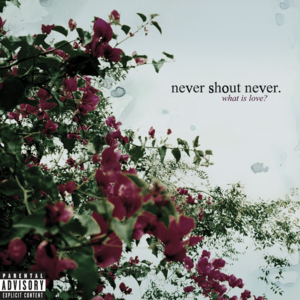 Can’t Stand It - Never Shout Never