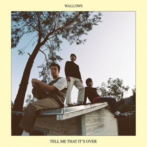 Marvelous - Wallows