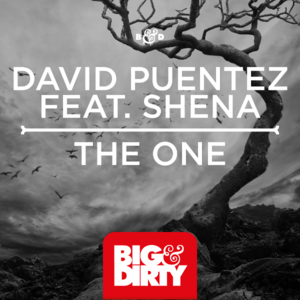 The One (Vicetone Remix) - David Puentez