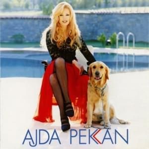 Bitsin Bu Sevda - Ajda Pekkan