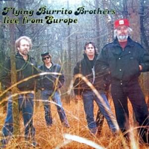 Christine’s Tune (Devil in Disguise) - The Flying Burrito Brothers