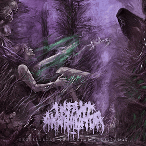 Soil the Stillborn - Infant Annihilator