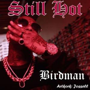 Still Hot - Birdman