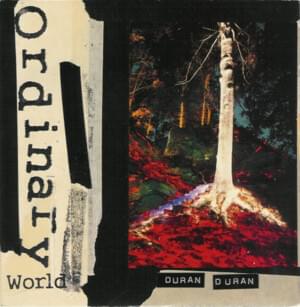 Ordinary World [Single Version] - Duran Duran