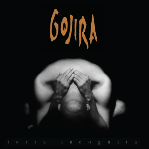 Lizard Skin - Gojira