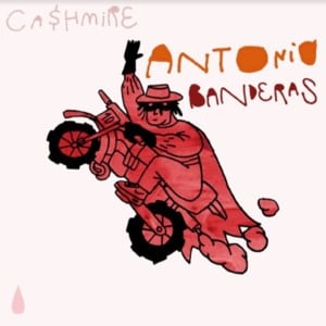 Antonio Banderas - Cashmire