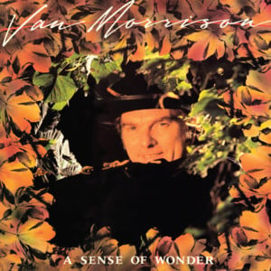 What Would I Do Without You - Van Morrison