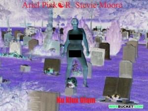 “you make me very uncomfortable” - R. Stevie Moore & Ariel Pink