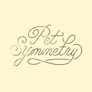 Everyone, If Anyone - Pet Symmetry