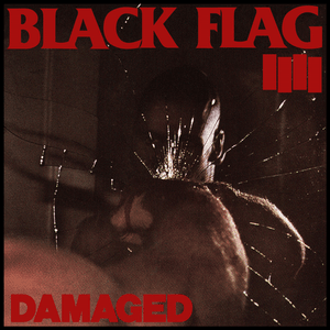 TV Party - Black Flag