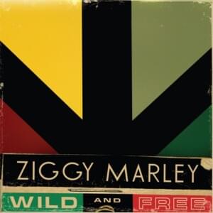 Reggae in My Head - Ziggy Marley