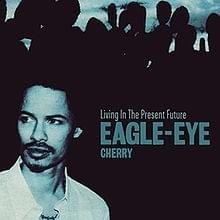 Miss Fortune - Eagle-Eye Cherry